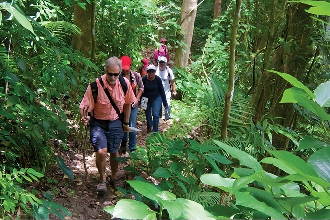 Puerto Plata Rejoya River Excursion Amber Cove Taino Bay Hotels - Finding the waterfall at the river’s source