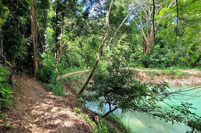 Puerto Plata Rejoya River Excursion Amber Cove Taino Bay Hotels - What Jonathan’s service adds to the day
