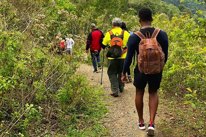 Puerto Plata Rejoya River Excursion Amber Cove Taino Bay Hotels - Should you book La Rejoya River?