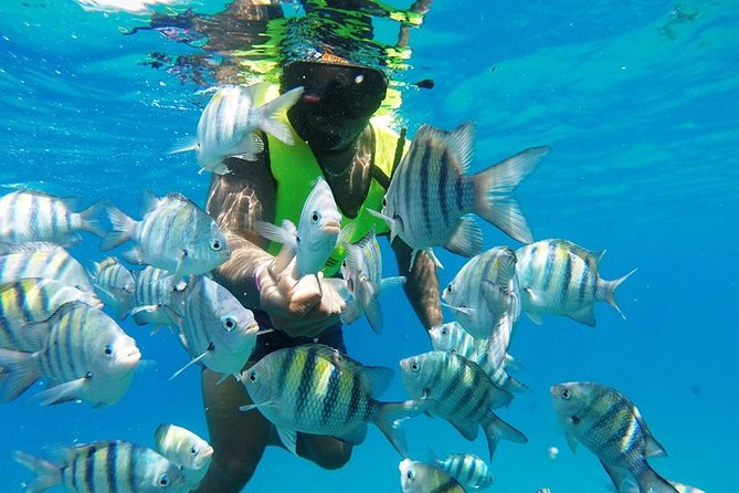 Puerto Plata Shore Excursion, Snorkeling tour & Sosua Beach Day - The ride from Amber Cove or Taino Bay