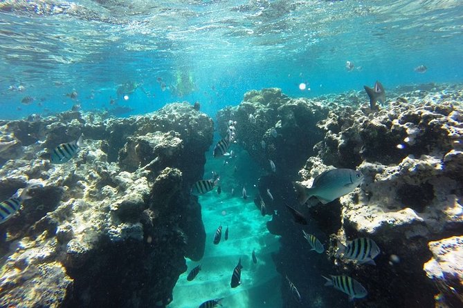 Puerto Plata Shore Excursion, Snorkeling tour & Sosua Beach Day - Sosua Beach gives the day breathing room