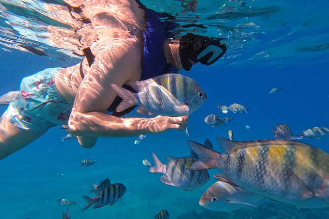 Puerto Plata Shore Excursion, Snorkeling tour & Sosua Beach Day - What the $65.55 price really covers