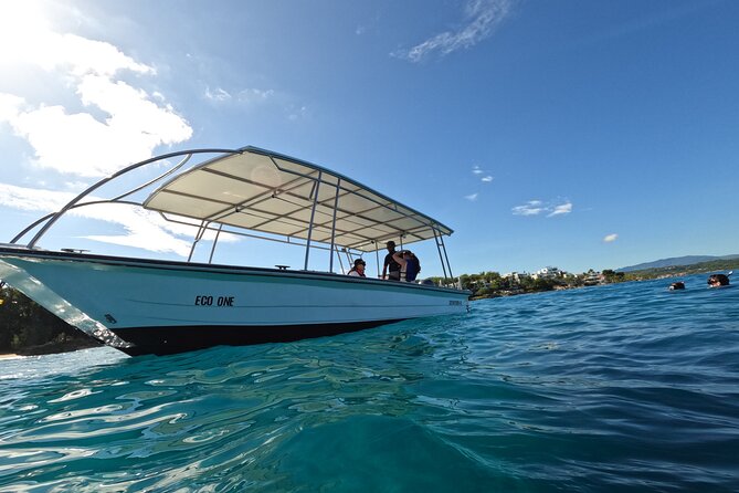 Puerto Plata Shore Excursion, Snorkeling tour & Sosua Beach Day - Safety, comfort, and the weather question