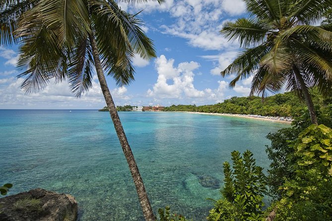 Puerto Plata Shore Excursion, Snorkeling tour & Sosua Beach Day - Who will get the most from this outing