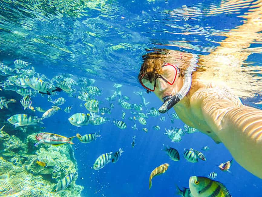 Puerto Plata: Snorkeling Excursion to Sosúa beach - Key points to know before you book
