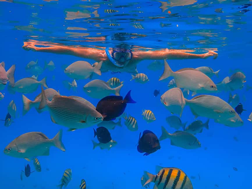 Puerto Plata: Snorkeling Excursion to Sosúa beach - Two reefs, warm water, and a short boat ride