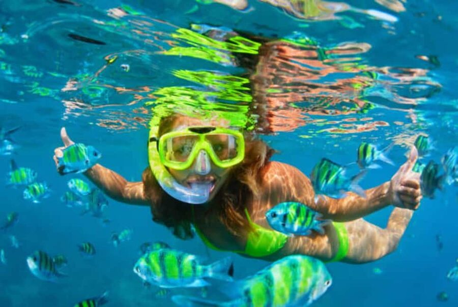 Puerto Plata: Snorkeling Excursion to Sosúa beach - Why the marine scientist matters