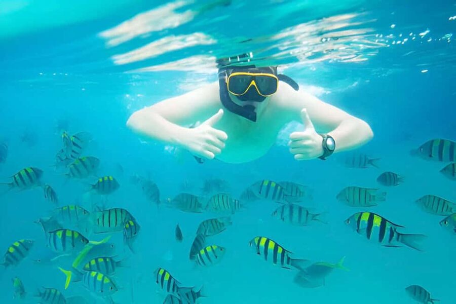 Puerto Plata: Snorkeling Excursion to Sosúa beach - What the three-hour itinerary feels like