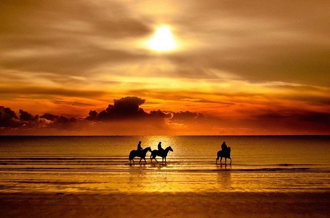 Puerto Plata: Sunset Beach Horseback Riding - The transport is part of the story