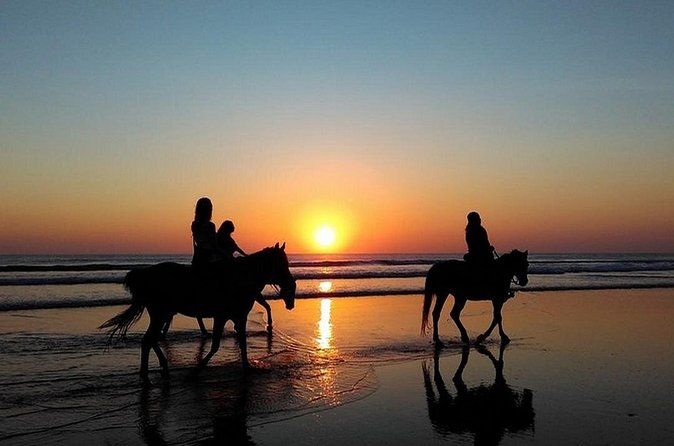 Puerto Plata: Sunset Beach Horseback Riding - Is US$69 a fair price?