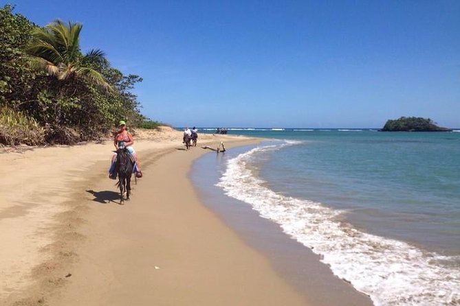Puerto Plata: Sunset Beach Horseback Riding - From Boca Nuevo to Bergantin Beach