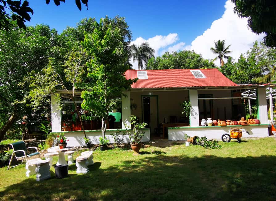 Puerto Plata: Taino Valley and Dominican Flavor Experience - Key points to know before you book
