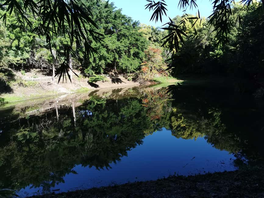 Puerto Plata: Taino Valley and Dominican Flavor Experience - Coffee from plant to traditional cup