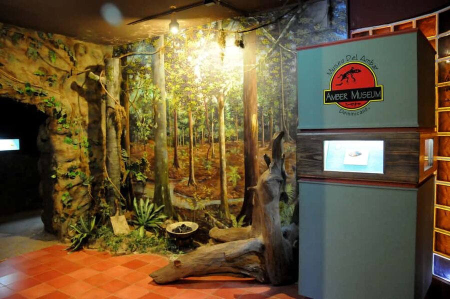 Puerto Plata Tour: History, Culture and Cable Car Ride - Riding the cable car up Mount Isabel