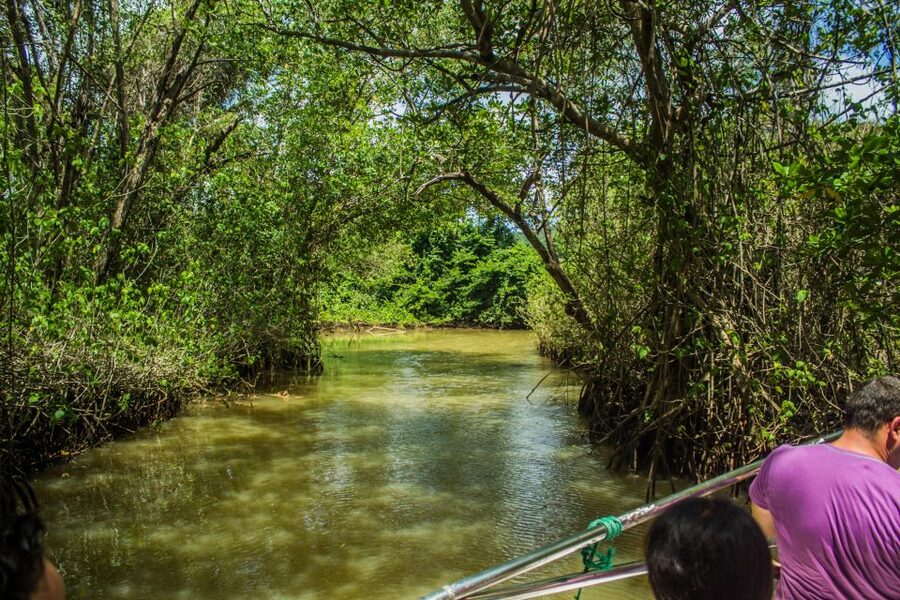 Punta Cana: 3-in-1 Adventure Haitises Park Waterfall Montaña - Los Haitises is the visual highlight
