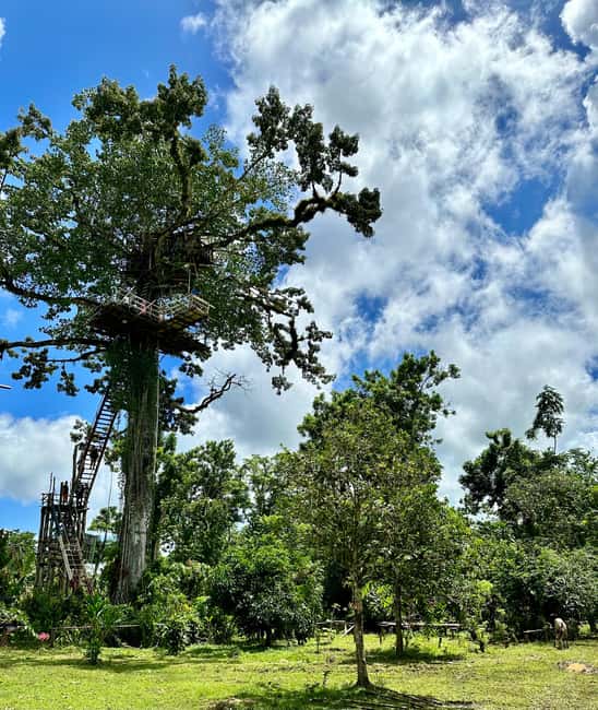 Punta Cana: 3-in-1 Adventure Haitises Park Waterfall Montaña - Transport, group size, and the rhythm of the day