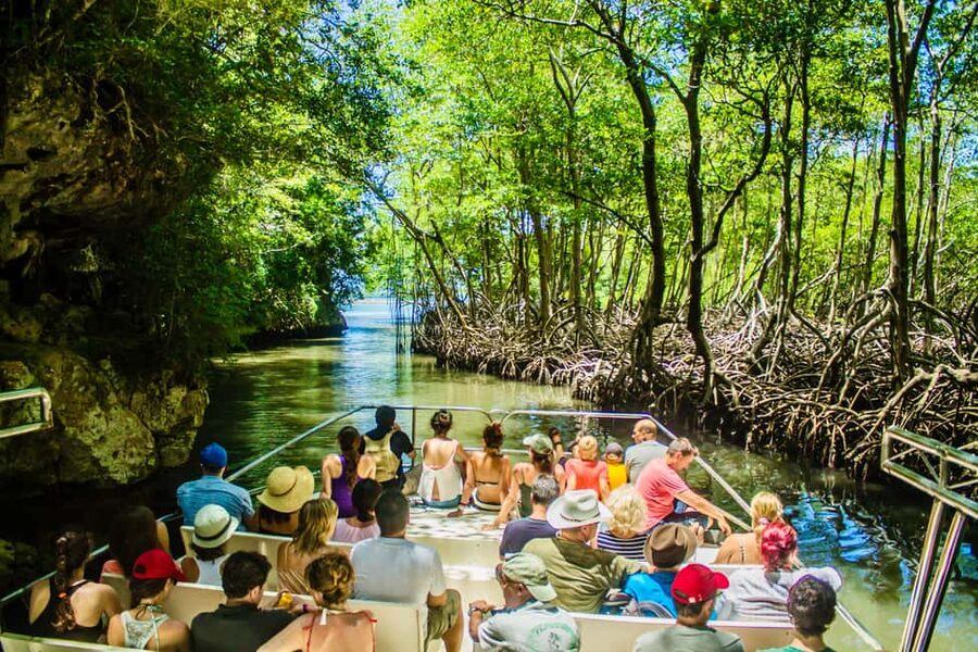 Punta Cana: 3-in-1 Adventure Haitises Park Waterfall Montaña - Montaña Redonda starts the day above the clouds