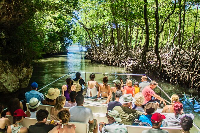 Punta Cana 3in1 Adventure: Los Haitises Park, Waterfall & Montaña - Why this day reaches beyond Punta Cana