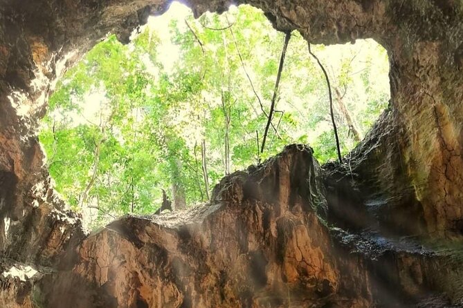 Punta Cana 3in1 Adventure: Los Haitises Park, Waterfall & Montaña - The guides make a real difference