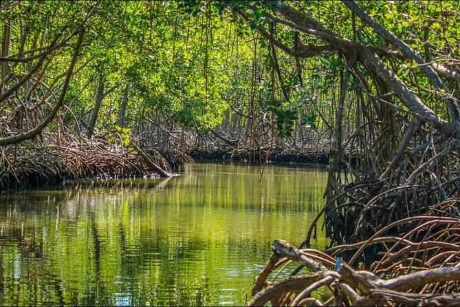 Punta Cana 3in1 Adventure: Los Haitises Park, Waterfall & Montaña - Who should book this excursion?