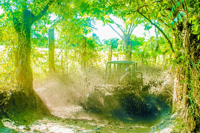 Punta Cana 4 Hours Buggy Tour Cave Macao Beach Free Pick Up - Who will enjoy this outing most