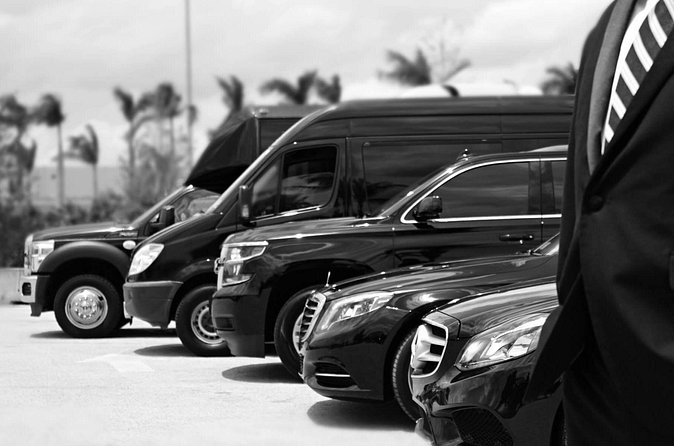 Punta Cana Airport Pick Up - Hotel Transportation Service - Who will appreciate this transfer most?