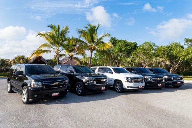 Punta Cana Airport to Punta Cana Hotels (up to 35 km) - Should You Book the Punta Cana Airport Transfer?