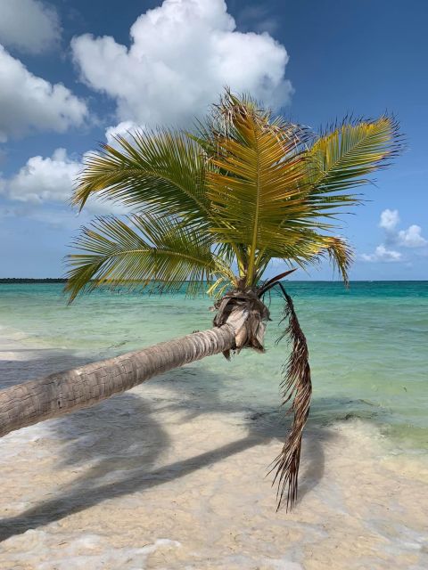 Punta Cana: All Inclusive Saona Island Experience - Playa Palmilla and the natural pool