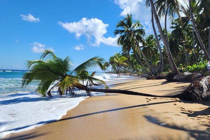 Punta Cana: Amazing ATV Adventure Private Road & Beach W/ PickUp - The cave stop and a quick swim