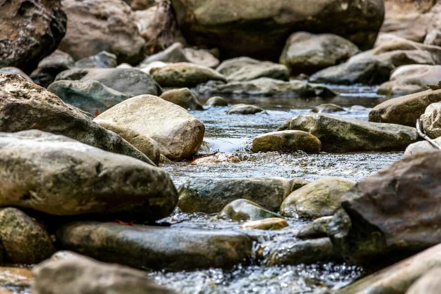 Punta Cana: Anamaya Mountains Walking Tour with Tasting - What the $49 price really covers