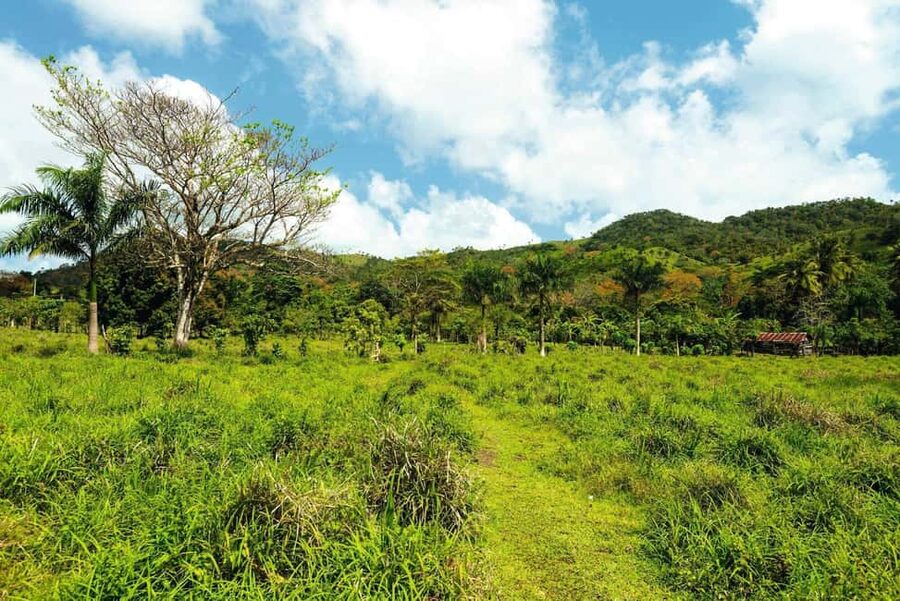 Punta Cana: Anamaya Mountains Walking Tour with Tasting - Language, guides, and the feel of the day