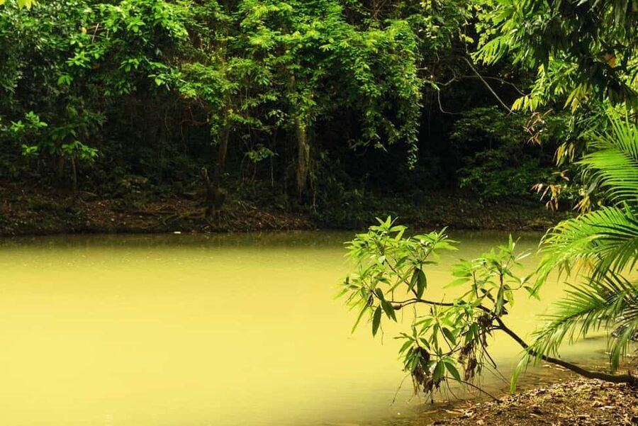 Punta Cana: Anamaya Mountains Walking Tour with Tasting - Should you book the Anamuya Mountains walk?