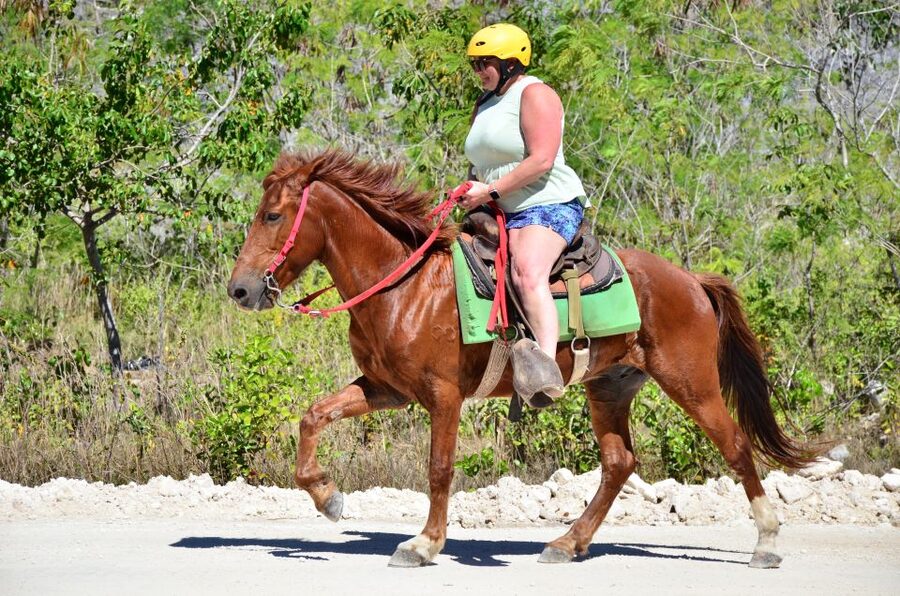 Punta Cana: Bávaro Adventure Park Horse Riding & Waterfalls - Key points to know before booking