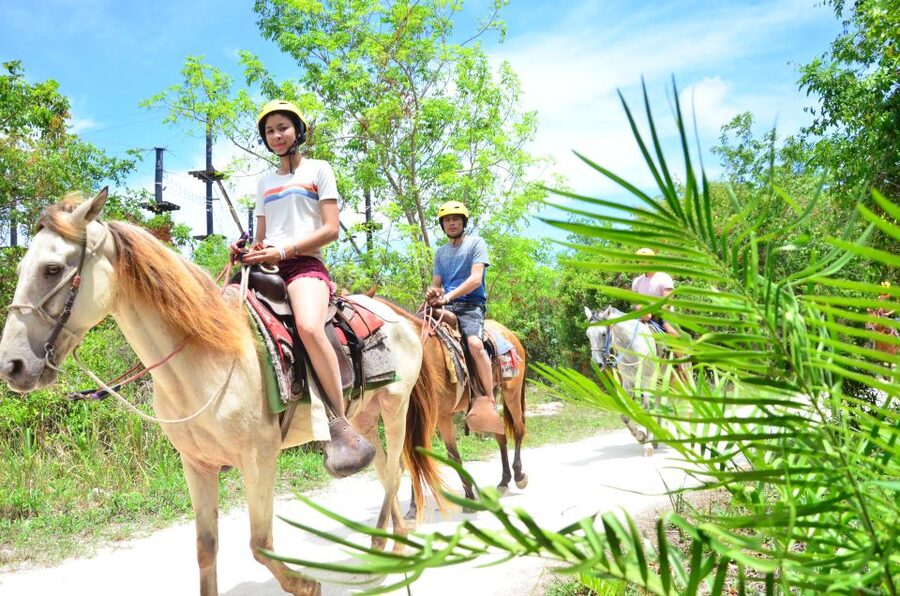 Punta Cana: Bávaro Adventure Park Horse Riding & Waterfalls - How this compares with other Punta Cana outings