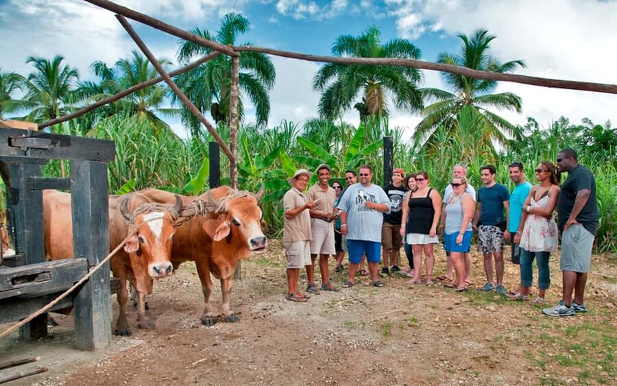 Punta Cana: Bavaro Runners Safari Tour - Key points at a glance