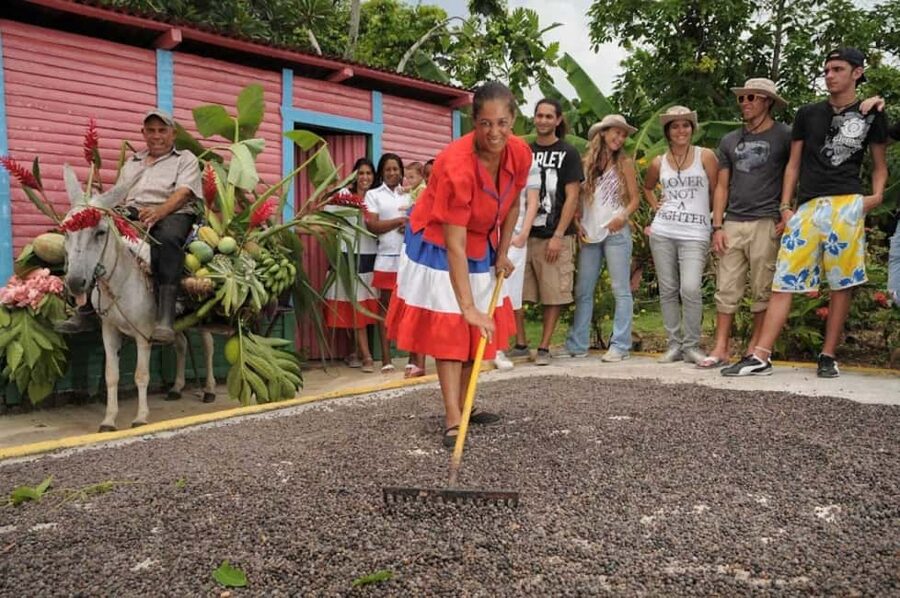 Punta Cana: Bavaro Runners Safari Tour - Sugarcane from oxen to rum