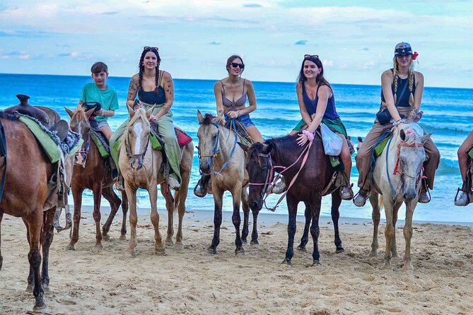 Punta Cana Beach Horseback Ride Paradise Coast Experience - A Slow Ride to Punta Cana’s Quiet Side