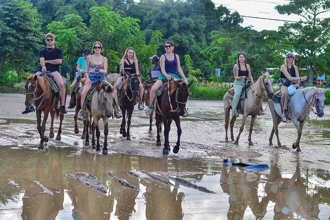 Punta Cana Beach Horseback Ride Paradise Coast Experience - Palm Trails, Ocean Air, and a Calm Horse