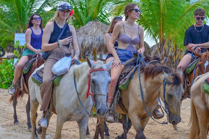 Punta Cana Beach Horseback Ride Paradise Coast Experience - How the $76 Price Holds Up