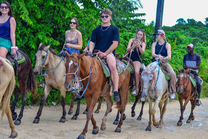 Punta Cana Beach Horseback Ride Paradise Coast Experience - Should You Book the Paradise Coast Ride?