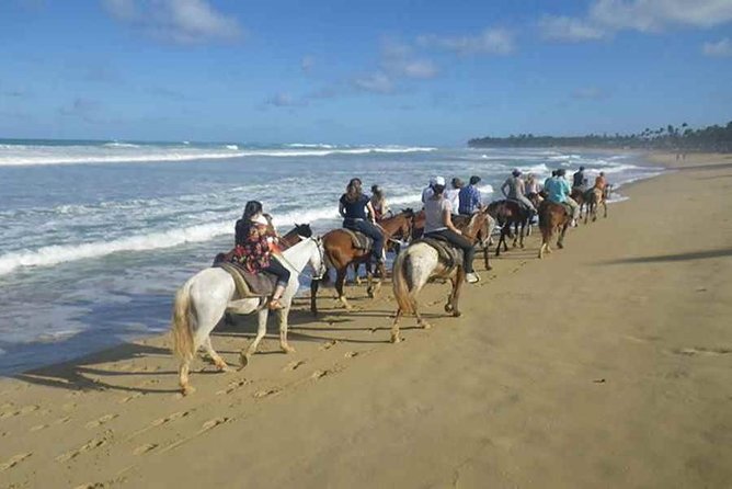 Punta Cana Beach Horseback Riding - Riding Punta Cana’s Coast from the Saddle