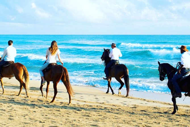 Punta Cana Beach Horseback Riding - What Happens Before You Mount
