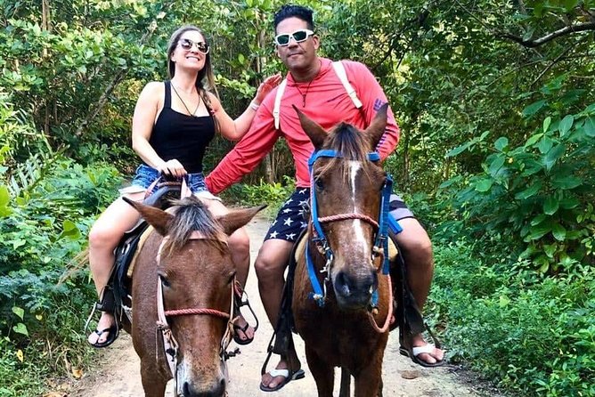 Punta Cana Beach Horseback Riding - Is the $58 Price Fair?