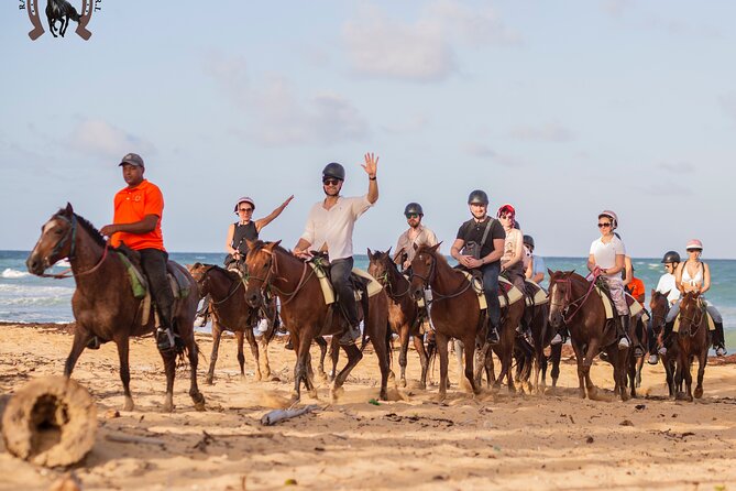 Punta Cana Beach Horseback Riding - Safety, Comfort, and Riding Conditions