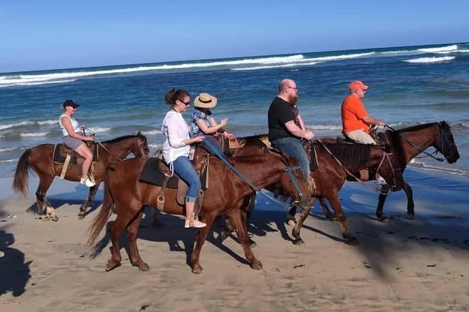 Punta Cana Beach Horseback Riding - Best for Couples, Families, and First-Time Riders