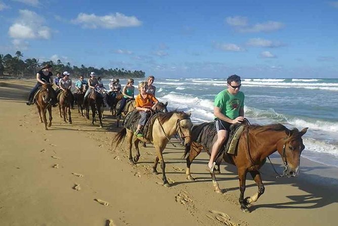 Punta Cana Beach Horseback Riding - Along the Beach and Through the Palm Paths