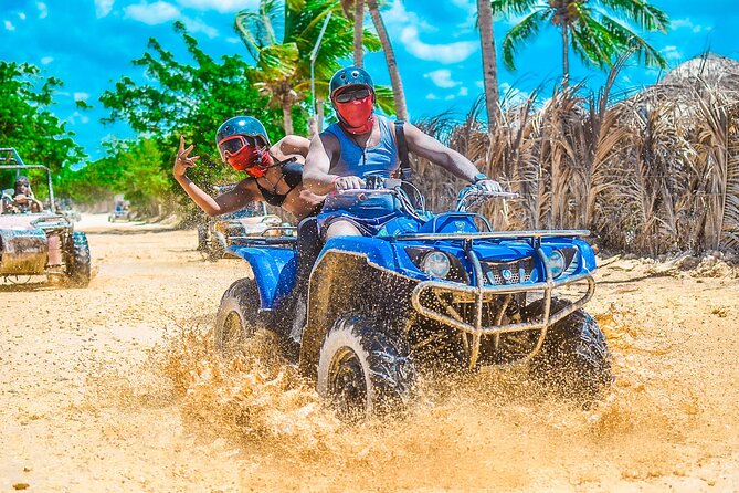 Punta cana Boogie into the Jungle with Coffee and Chocolate Taste - Coffee, cocoa, tobacco, and local tastes