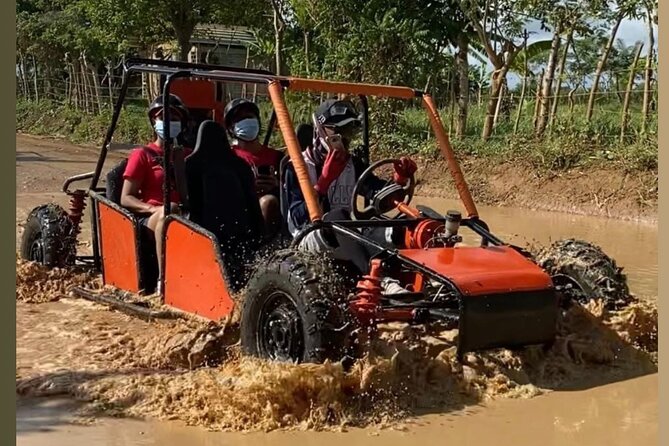 Punta Cana Buggy Adventure : Beaches, Caves & Countryside Ride - Cocoa, coffee, and mamajuana at a traditional home