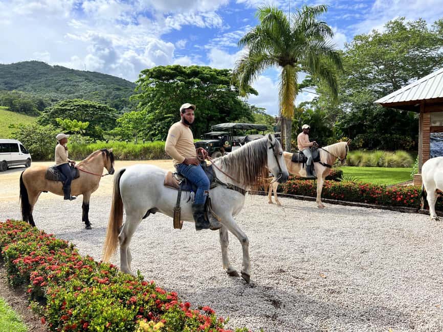 Punta Cana: Buggy and Zipline Adventure at La Hacienda - Seven ways to spend one day at La Hacienda