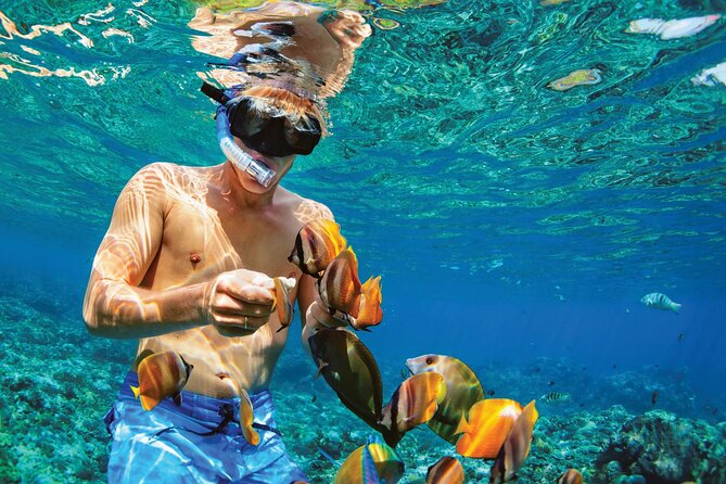 Punta Cana Catalina Island Catamaran Tour Package Deal - From Punta Cana sugar fields to La Romana